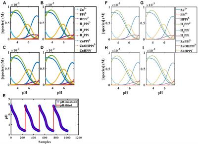 Mathematical Modeling of a Supramolecular Assembly for Pyrophosphate Sensing